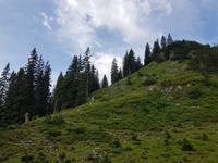 Wanderweg am Ifen