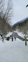 Wanderweg an der Breitach
