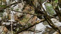 Wasserwanderweg