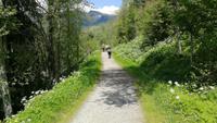 Weg Auffach Roggenboden