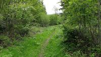 Weg nach Mühltal