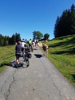 Weg zum Riedlwirt
