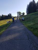 Weg zum Riedlwirt