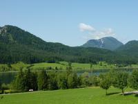 Weisensee