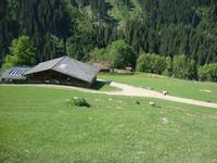 Wildpark Aurach