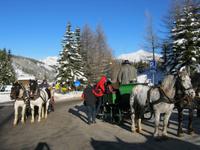 Wintertraum