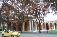 Zentralfriedhof