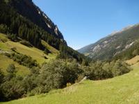 Zillergrund