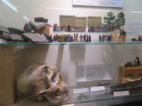 Zinnfigurenmuseum