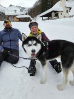 an der Schlicker Alm
