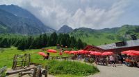 hintere Gemstelalpe