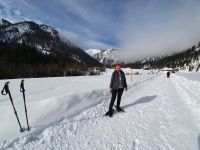 im Pletzachtal
