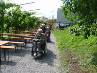 im Weingut Moth