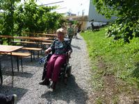 im Weingut Moth