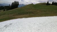 letzter Schnee