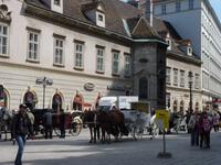 rund um den Stephl