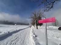 zum Pletzachtal