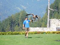 Villach_Burg_Landskron (2)