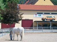 Lipizzanergestüt Piber