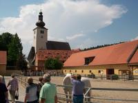 Lipizzanergestüt Piber