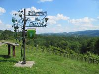 auf der Südsteirischen Weinstrasse