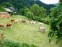 Bauernhof bei Bled