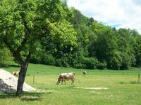Bauernhof bei Bled