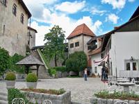 Bled
