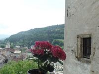 Gmünd