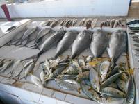 Barka (Fisch- und Gemüsemarkt)