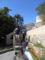 Birkat al-Mauz (Falaj Al-Khatmeen - Bewässerungskanal, UNESCO-Weltkulturerbe)