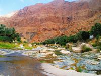 Wadi Tiwi