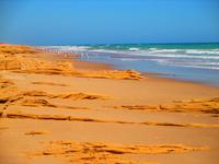 Strand bei Ras Al Ruways