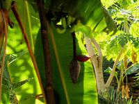 Bergdorf Misfat al Ibriyeen - ein Kleinod und Oase