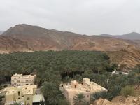 114 Birkat al Mauz