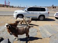 Oman, Grand Canyon Plateau