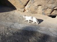 Oman, Misfat Al Abreain