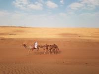 Oman, Wüste Wahiba Sands