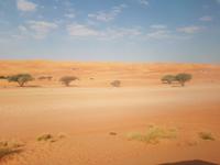 Oman, Wüste Wahiba Sands