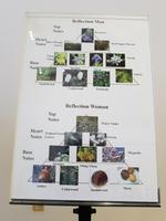 Oman, Parfüm Amouage