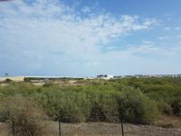 Oman, Muskat, Mangroven