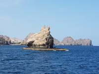 Oman, Muskat, Dhaufahrt, Katzenfelsen