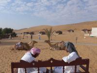 Oman, Wüstencamp 1001 Nacht