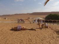 Oman, Wüstencamp 1001 Nacht