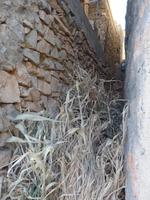 Oman, Misfat Al Abreain, Hirse