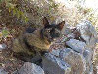 Oman, Jebel Akhdar, Wanderung 3 Dörfer