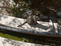 Oman, Jebel Akhdar, Wanderung 3 Dörfer