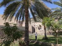 Oman, Birkat Al Mauz