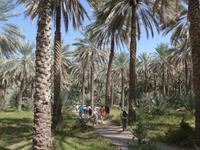 Oman, Birkat Al Mauz