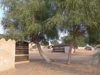 Oman, Wüstencamp 1001 Nacht